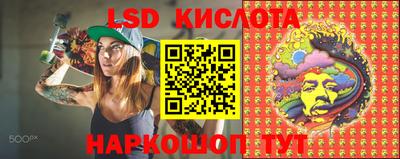 спиды Владимир