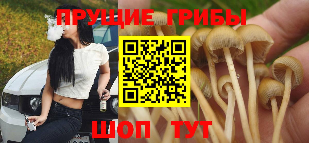 Галлюциногенные грибы Cubensis  Вход с VPN  Галлюциногенные грибы GOLDEN TEACHER  Асбест 